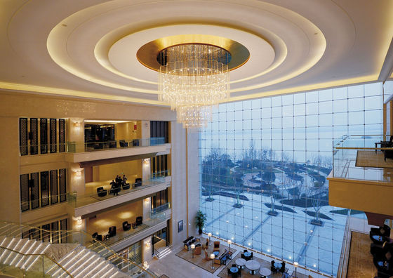 OEM ODM Creative Art Pendant Light Untuk Tempat High End